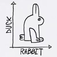Funny Science Nerd Duck Rabbit Physics Math Geek Button