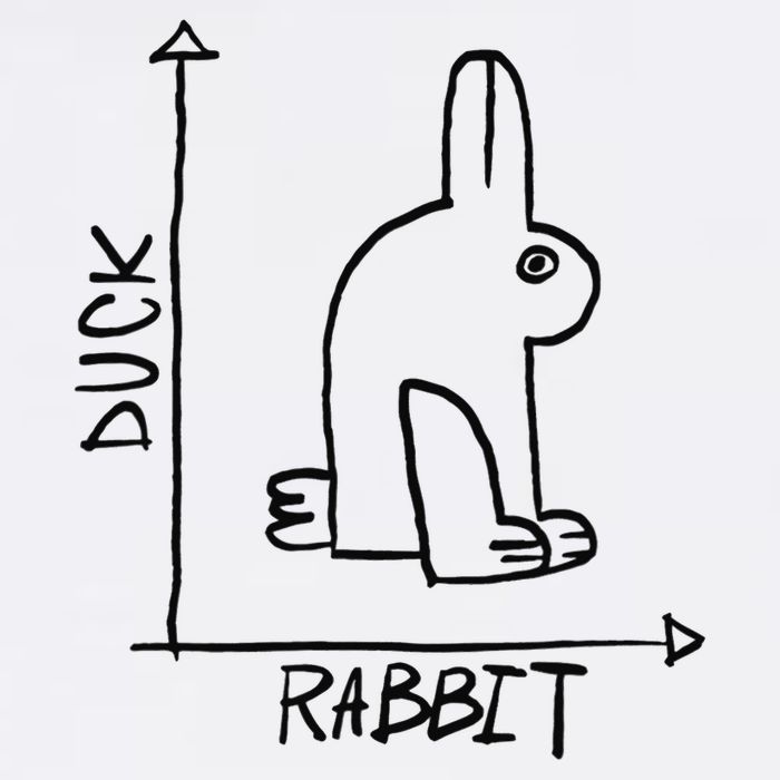 Funny Science Nerd Duck Rabbit Physics Math Geek Mousepad