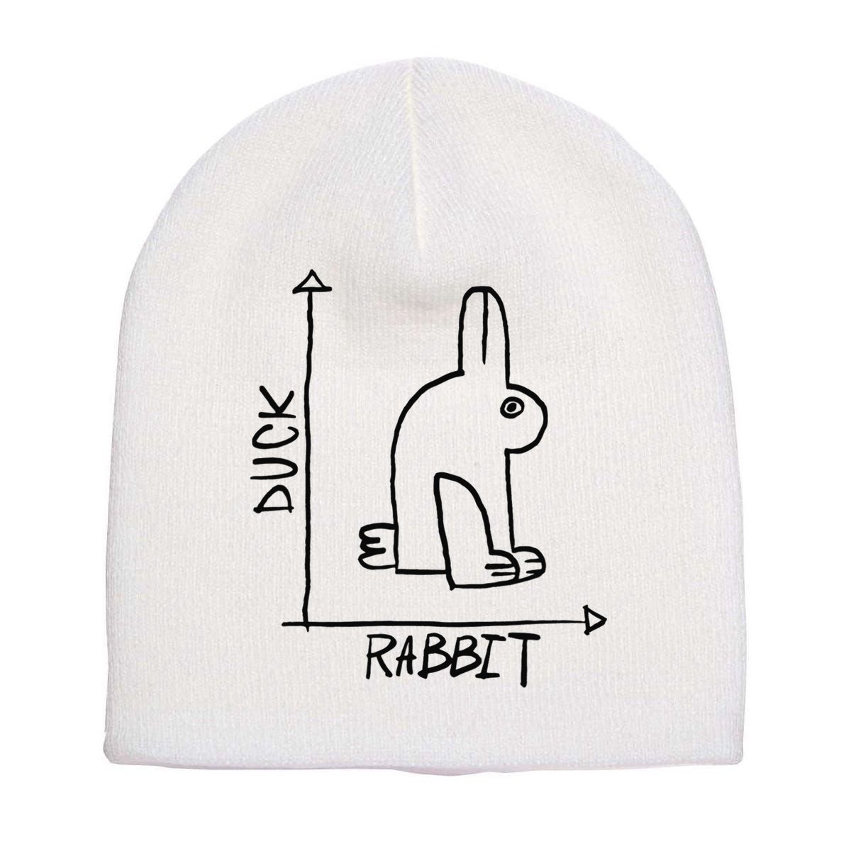 Funny Science Nerd Duck Rabbit Physics Math Geek Short Acrylic Beanie
