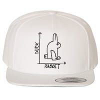 Funny Science Nerd Duck Rabbit Physics Math Geek Wool Snapback Cap