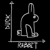 Funny Science Nerd Duck Or Rabbit Physics Math Geek Women's T-Shirt
