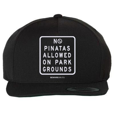 Funny Sign, No Piñatas Allowed On Park Grounds, Party Wool Snapback Cap