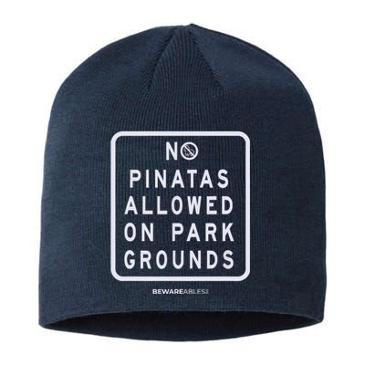 Funny Sign, No Piñatas Allowed On Park Grounds, Party Sustainable Beanie