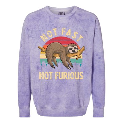 Funny Sloth Not Fast Not Furious Sloth Quote Cute Sloth Gift Colorblast Crewneck Sweatshirt