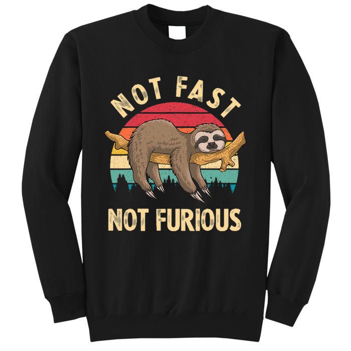 Funny Sloth Not Fast Not Furious Sloth Quote Cute Sloth Gift Sweatshirt