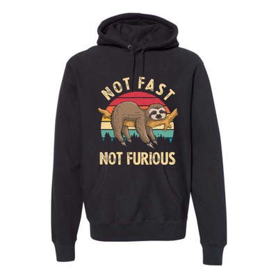 Funny Sloth Not Fast Not Furious Sloth Quote Cute Sloth Gift Premium Hoodie