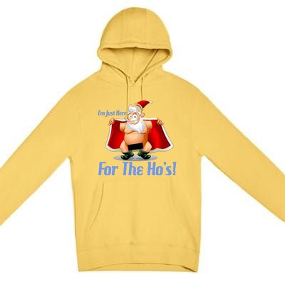 Funny Santa Nude Censored Just Here For The Ho's Premium Pullover Hoodie