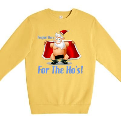 Funny Santa Nude Censored Just Here For The Ho's Premium Crewneck Sweatshirt