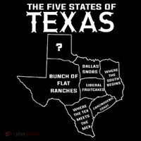 Five States Of Texas Funny Maps Of Dallas Houston Austin Stripe Pom Pom Beanie