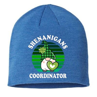 Funny St Patricks Day Shenanigans Coordinator Teacher Mom Gift Sustainable Beanie