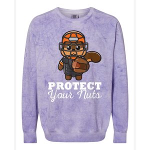 Funny Squirrel Protect Your Nuts Baseball Catcher Animal Cool Gift Colorblast Crewneck Sweatshirt