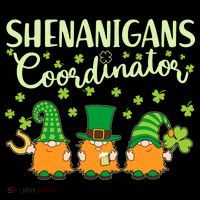 Funny St Patricks Day Shenanigans Coordinator Gnomes Poster