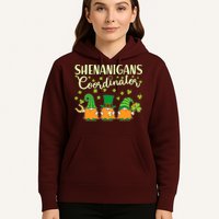 Funny St Patricks Day Shenanigans Coordinator Gnomes Hoodie