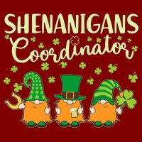 Funny St Patricks Day Shenanigans Coordinator Gnomes Apron