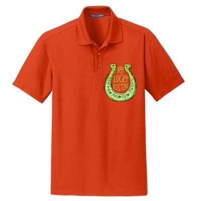 Funny Saint Patrick Day Costume Gift Horseshoe Lucky Design Gift Dry Zone Grid Polo