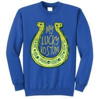 Funny Saint Patrick Day Costume Gift Horseshoe Lucky Design Gift Sweatshirt