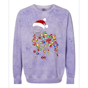 Funny Santa Pitbull Retriever Christmas Lights Dog Lover Cool Gift Colorblast Crewneck Sweatshirt