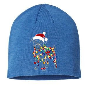 Funny Santa Pitbull Retriever Christmas Lights Dog Lover Cool Gift Sustainable Beanie