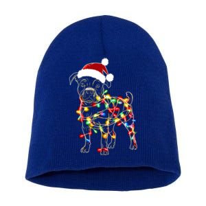 Funny Santa Pitbull Retriever Christmas Lights Dog Lover Cool Gift Short Acrylic Beanie