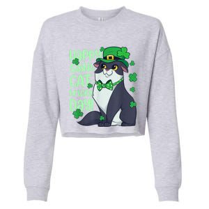 Funny St Patrick's Day Happy St Cat Tricks Day Cropped Pullover Crew