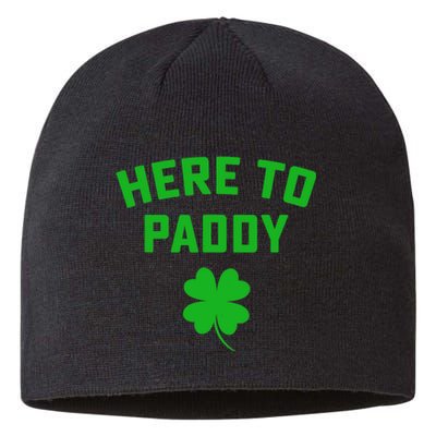 Funny St Patricks DayHere To Paddy Irish Pun Sustainable Beanie