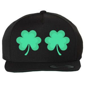 Funny St. Pattys Day Four 4 Leaf Clover Bra Wool Snapback Cap