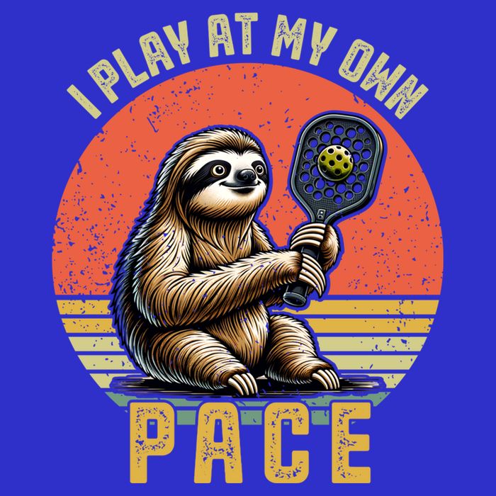Funny Sloth Pickleball Player And Paddleball Gift Sweatshirt