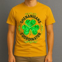 Funny St Patrick's Day Shenanigans Coordinator Lucky Shamrock Clover T-Shirt