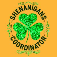 Funny St Patrick's Day Shenanigans Coordinator Lucky Shamrock Clover T-Shirt
