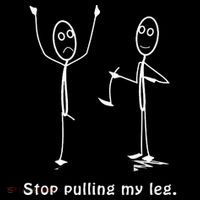 Funny Stop Pulling My Leg Stickman Costume Stick Figure Flatbill Hat