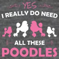 Funny Standard Poodle Dog Lover Puppy Breed Pink Wool Snapback Cap
