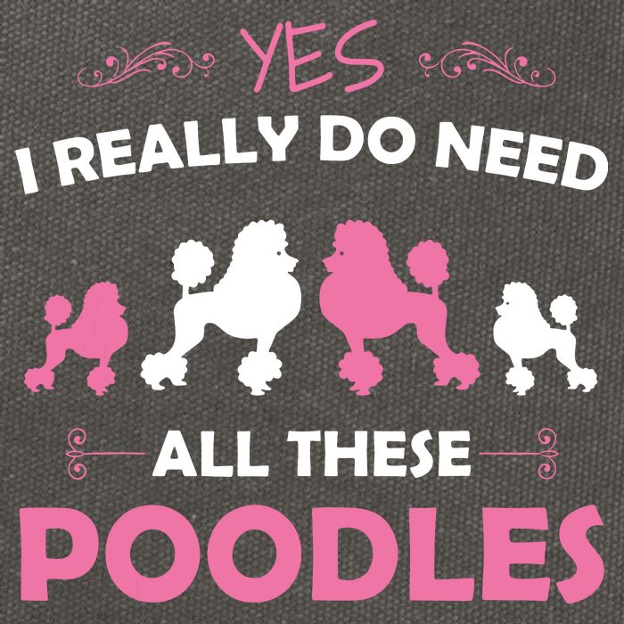 Funny Standard Poodle Dog Lover Puppy Breed Pink Cotton Canvas Backpack