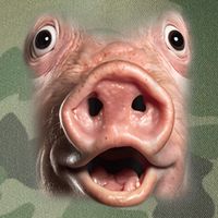 Funny Surprised Pig Face Meme Big Troll Hog Piggy Face Legacy Tie Dye Trucker Hat