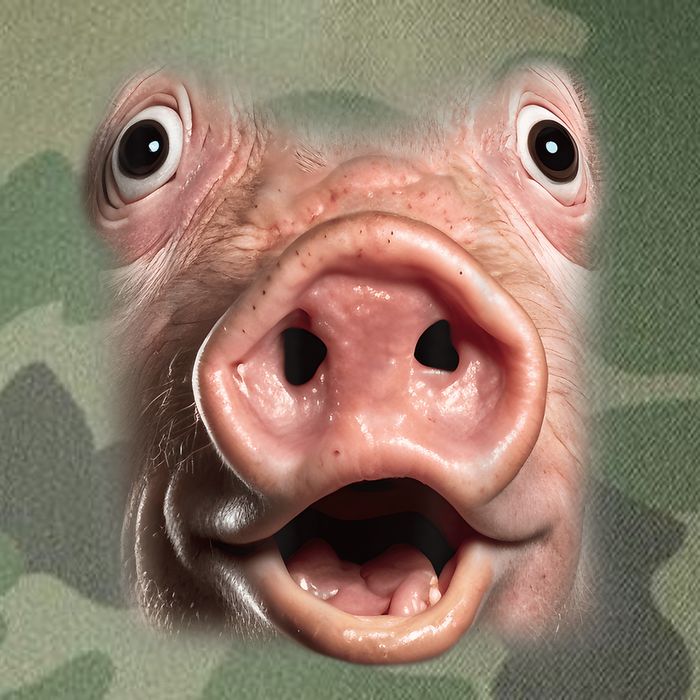 Funny Surprised Pig Face Meme Big Troll Hog Piggy Face Legacy Tie Dye Trucker Hat