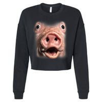 Funny Surprised Pig Face Meme Big Troll Hog Piggy Face Cropped Pullover Crew