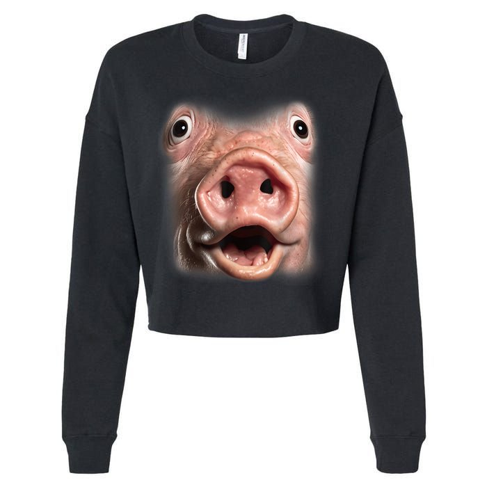 Funny Surprised Pig Face Meme Big Troll Hog Piggy Face Cropped Pullover Crew