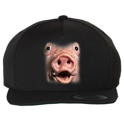 Funny Surprised Pig Face Meme Big Troll Hog Piggy Face Wool Snapback Cap