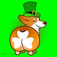 Funny St Patrick's Day Shamrock Corgi Butt Magnet