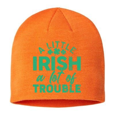 Funny St Patricks Day A Little Irish A Lot Of Trouble Sustainable Beanie