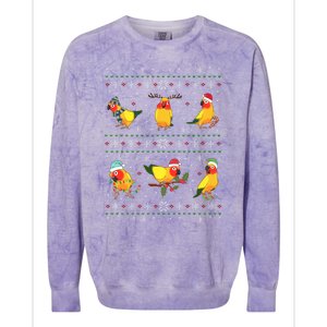 Funny Santa Parrot Decorations Sun Conure Ugly Christmas Cute Gift Colorblast Crewneck Sweatshirt