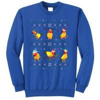 Funny Santa Parrot Decorations Sun Conure Ugly Christmas Cute Gift Tall Sweatshirt