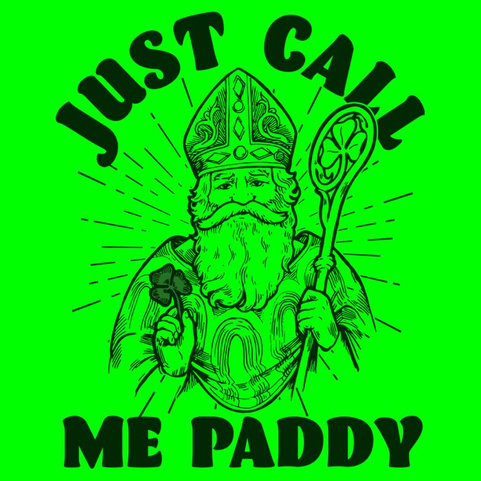 Funny Saint Patricks Day Just Call Me Paddy T-Shirt