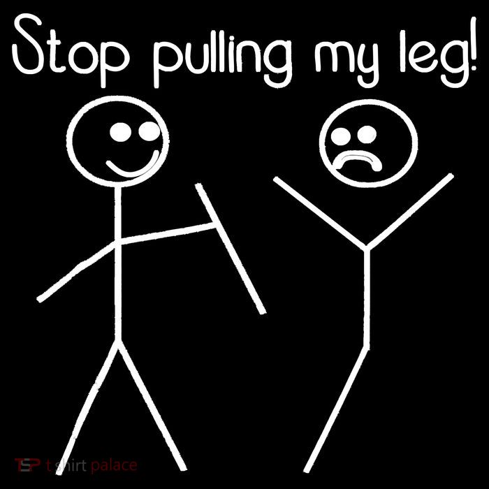 Funny Stop Pulling My Leg Pun Slogan Funny Cropped Pullover Crew