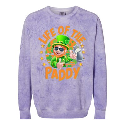 Funny St Patricks Day Life Of The Paddy Leprechaun Beer Colorblast Crewneck Sweatshirt