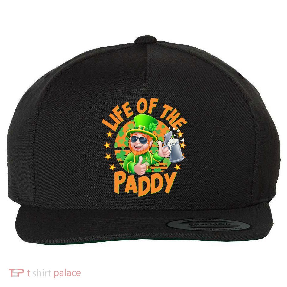 Funny St Patricks Day Life Of The Paddy Leprechaun Beer Wool Snapback Cap