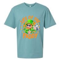 Funny St Patricks Day Life Of The Paddy Leprechaun Beer Sueded Cloud Jersey T-Shirt