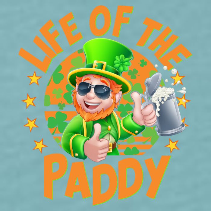 Funny St Patricks Day Life Of The Paddy Leprechaun Beer Sueded Cloud Jersey T-Shirt