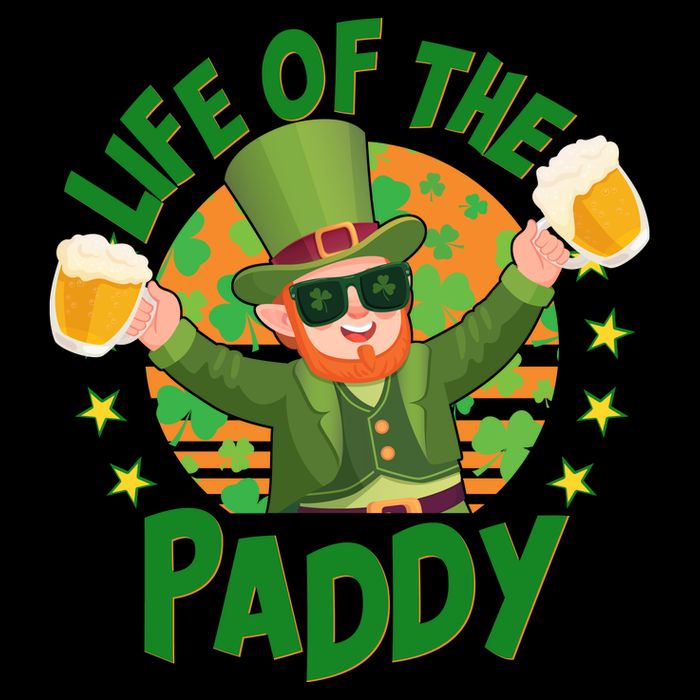 Funny St Patricks Day Life Of The Paddy Leprechaun With Beers Mug