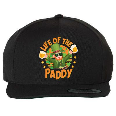 Funny St Patricks Day Life Of The Paddy Leprechaun With Beers Wool Snapback Cap