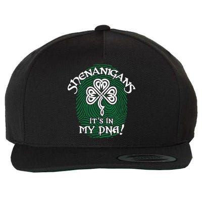 Funny St Patrick's Day Shenanigans It's In My DNA Fingerprint Wool Snapback Cap